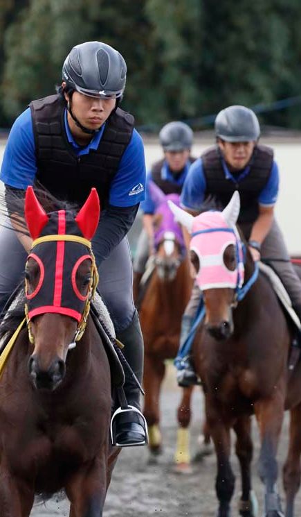 屋外コースでの騎乗トレーニング