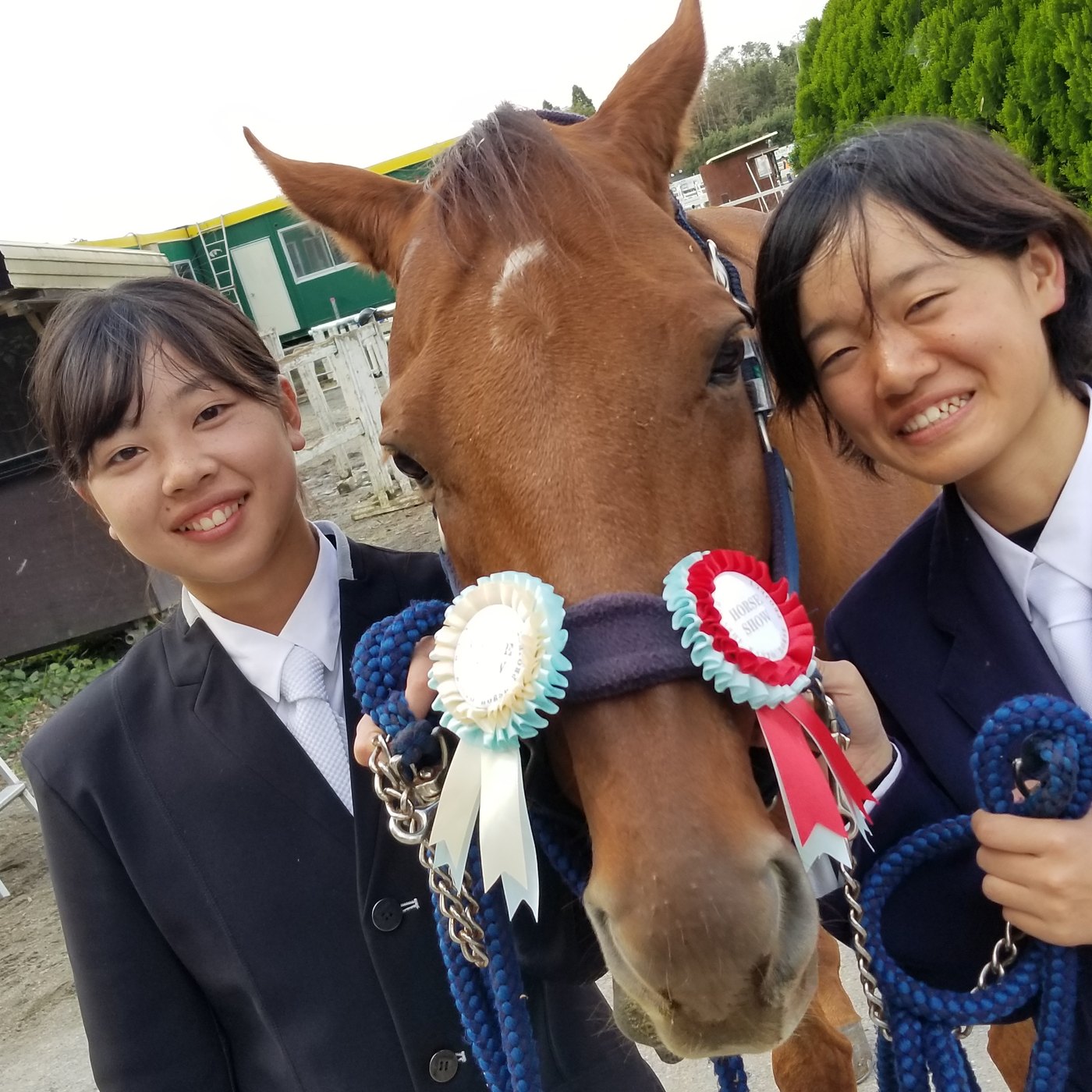 学校生活の明るいひととき