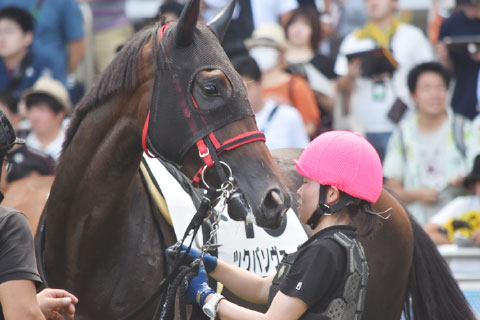 本校から誕生した女性のJRA厩務員