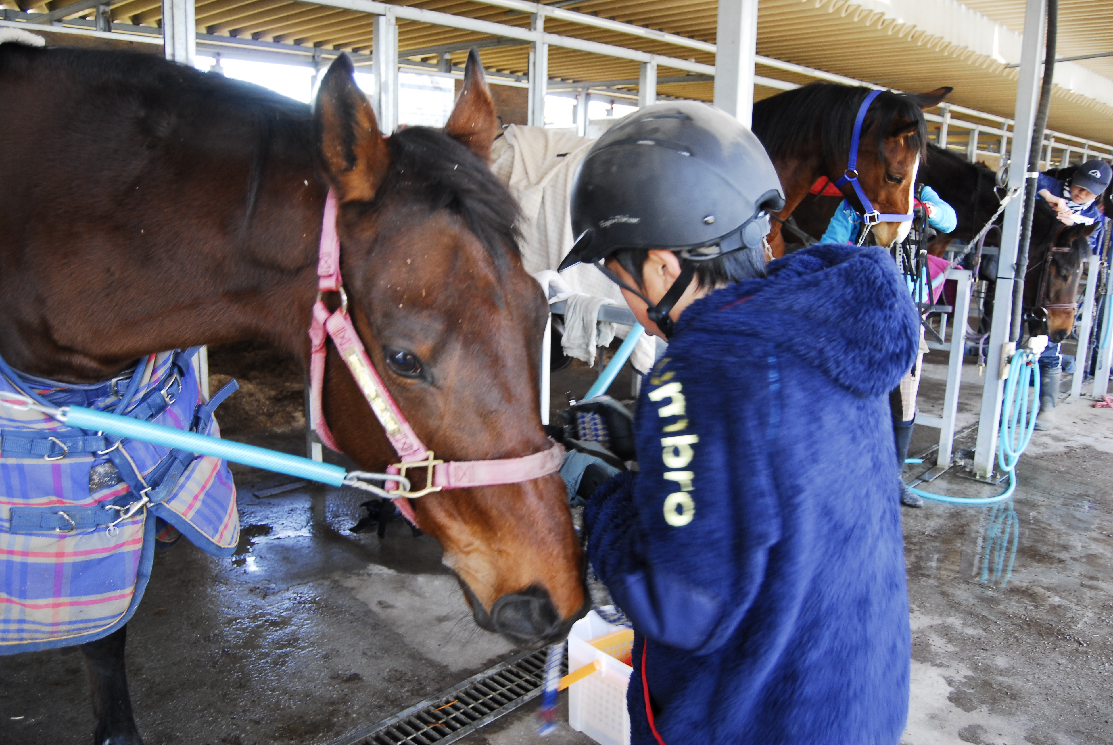 オープンキャンパスで乗馬を体験する学生