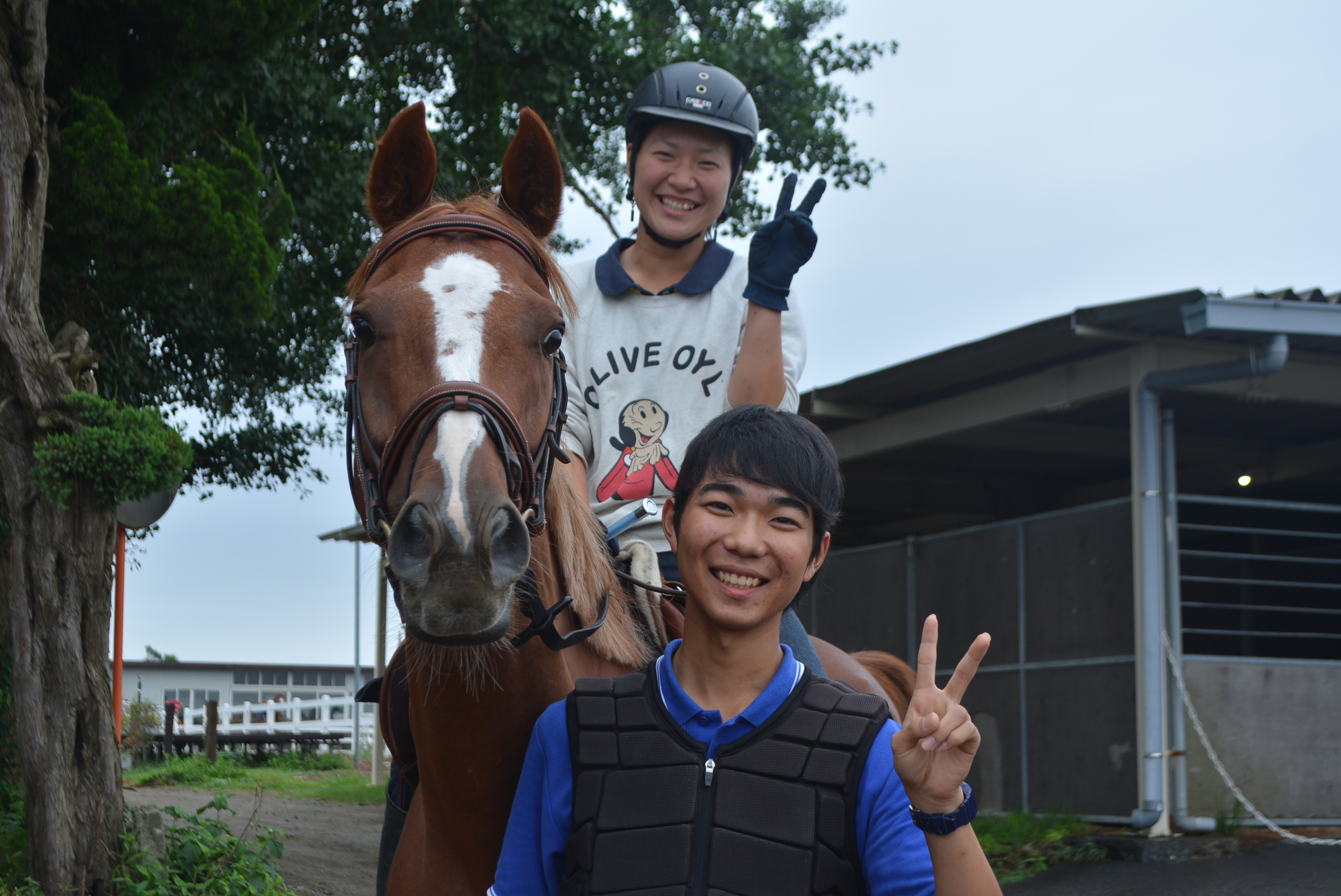 馬のお手入れ体験・ふれあい